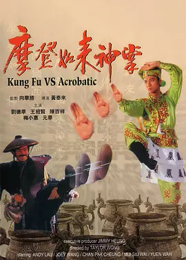 毛片播放器